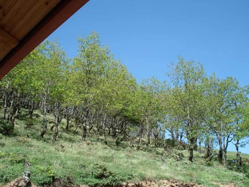 Guesthouse Irida Belokomiti Exteriör bild